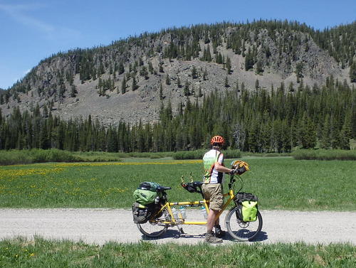 GDMBR: Dennis Struck and the Bee are just enjoying Nature.